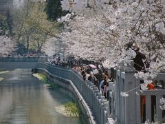 -莫愁湖公园