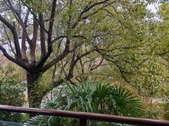 -上海怡沁园度假酒店