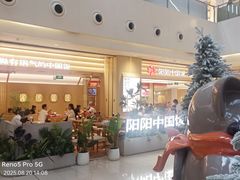 -阳阳中国饭(龙湖大兴天街)