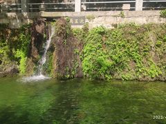 -洛阳市隋唐城遗址植物园