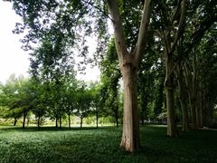 -河南省黄河迎宾馆