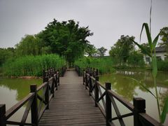 -梁鸿国家湿地公园