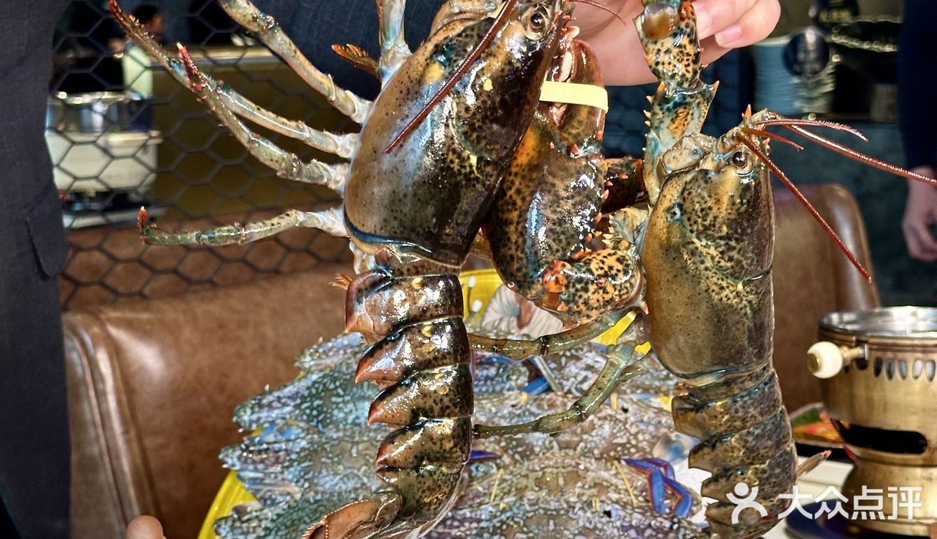🦞攻略白做！终于小鸟胃也能吃回本了💯