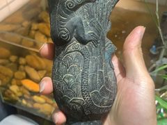 -Rabbit Cafe私房西餐甜点咖啡(栖霞路店)