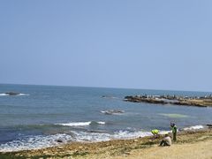 -老太太海鲜城(森林公园任家台店)