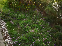 -艾溪湖湿地公园