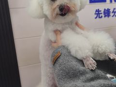 -宠颐生宠物医院·综合诊疗(先锋分院)