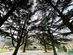 -大连植物园