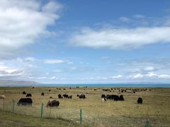 -青海湖国家重点风景名胜区