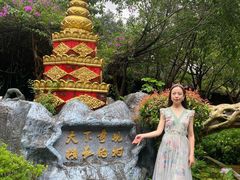 -瑞丽独树成林风景区