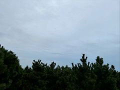 -日照海滨国家森林公园