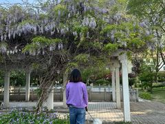 -河南省黄河迎宾馆