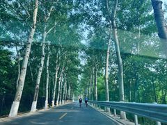 -十三陵水库