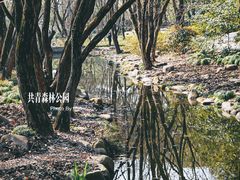 -上海共青森林公园