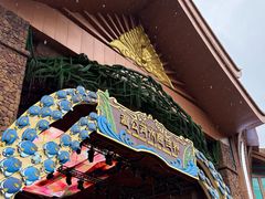 -西双版纳原始森林公园