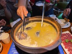 -捞围鲜·港式打边炉(海阳路店)