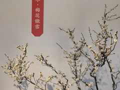 -颐和园