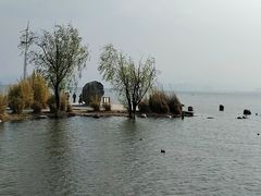 -洱海月湿地公园