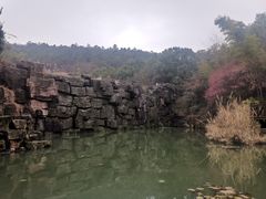 -宝岩生态观光园