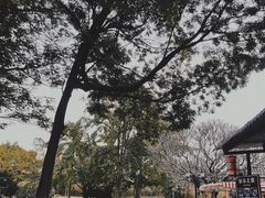 -南沙蒲洲花园