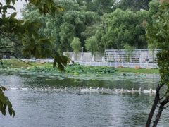 -长春市南湖公园