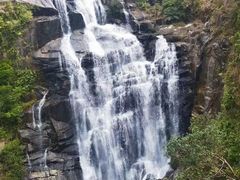 -海南热带雨林国家公园吊罗山景区