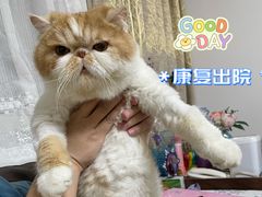 -美联众合动物医院·24h转诊中心