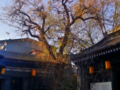 -湘子庙