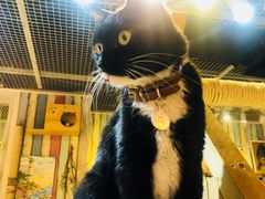 -小时光咖啡馆(开森度假森林店)