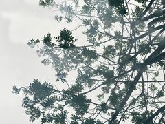 -广州长隆欢乐世界