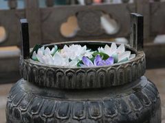 -三亚南山文化旅游区