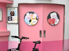 -line friends(明洞旗舰店)