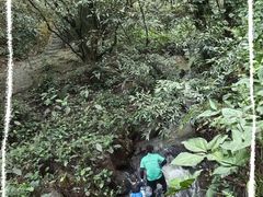 -滴水岩森林公园