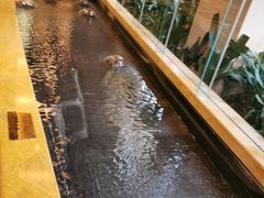 -星河湾半岛酒店-真粤中餐厅