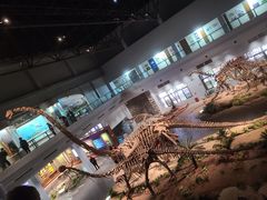 -自贡恐龙博物馆