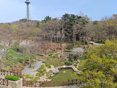 -青岛海滨风景区