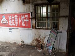 -半月镰胡姐脆皮萝卜饺子