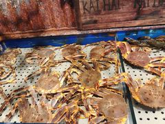 -开海·红岛海鲜虾水饺(石老人店)
