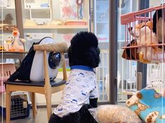 -萌兽医馆·眼科·异宠专科(三里屯店)