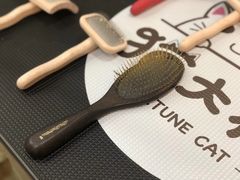 -猫大福·Fortune Cat猫舍(百子湾店)