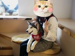 -Husky Go! 哈士奇体验馆·宠物咖啡厅狗咖