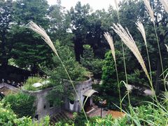 -三鹰之森吉卜力美术馆