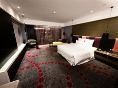 -南京禄口机场雅高铂尔曼大酒店