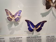 -天津自然博物馆