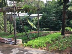 -邹记·美食(斗门店)