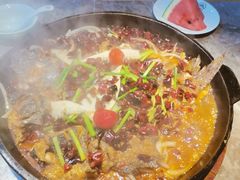 -老板恋上鱼(恒隆广场店)