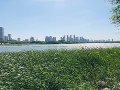 -渤公岛生态公园