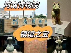 -河南博物院