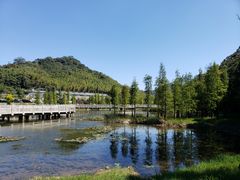 -广州市石门国家森林公园