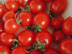 -新隆嘉供销超市(青岛瑞昌路店)